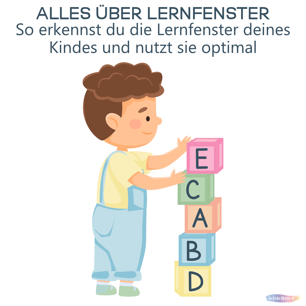 Alles über Lernfenster