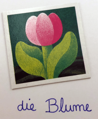Die-Blume-412x500