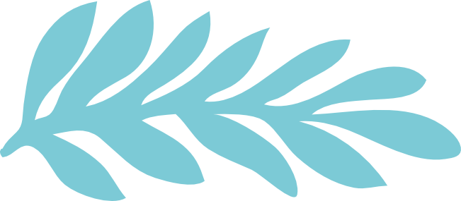 blume4